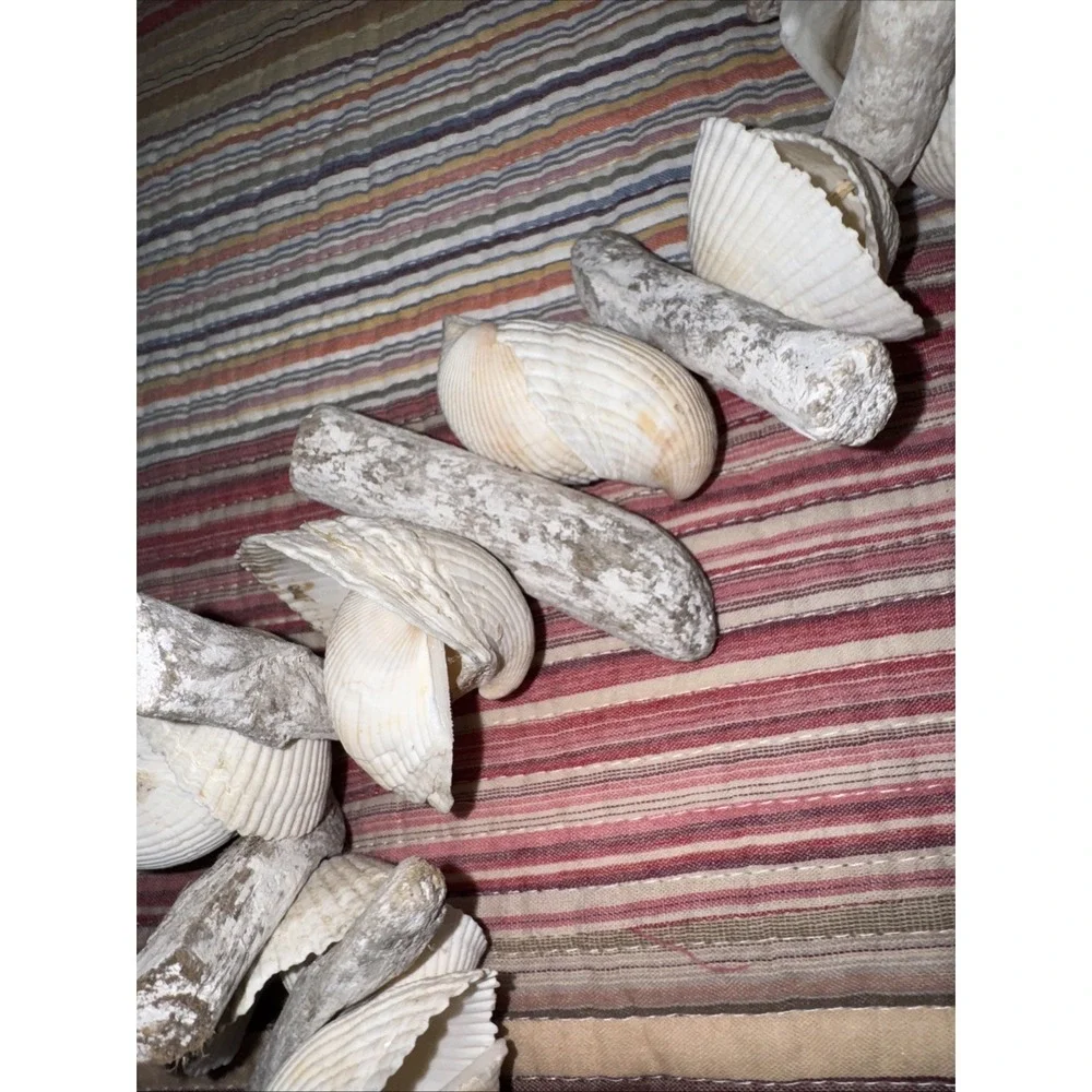 Vtg Painted Driftwood (Faux Maybe) Shell Garland Beachhouse Cottage Lake Bay